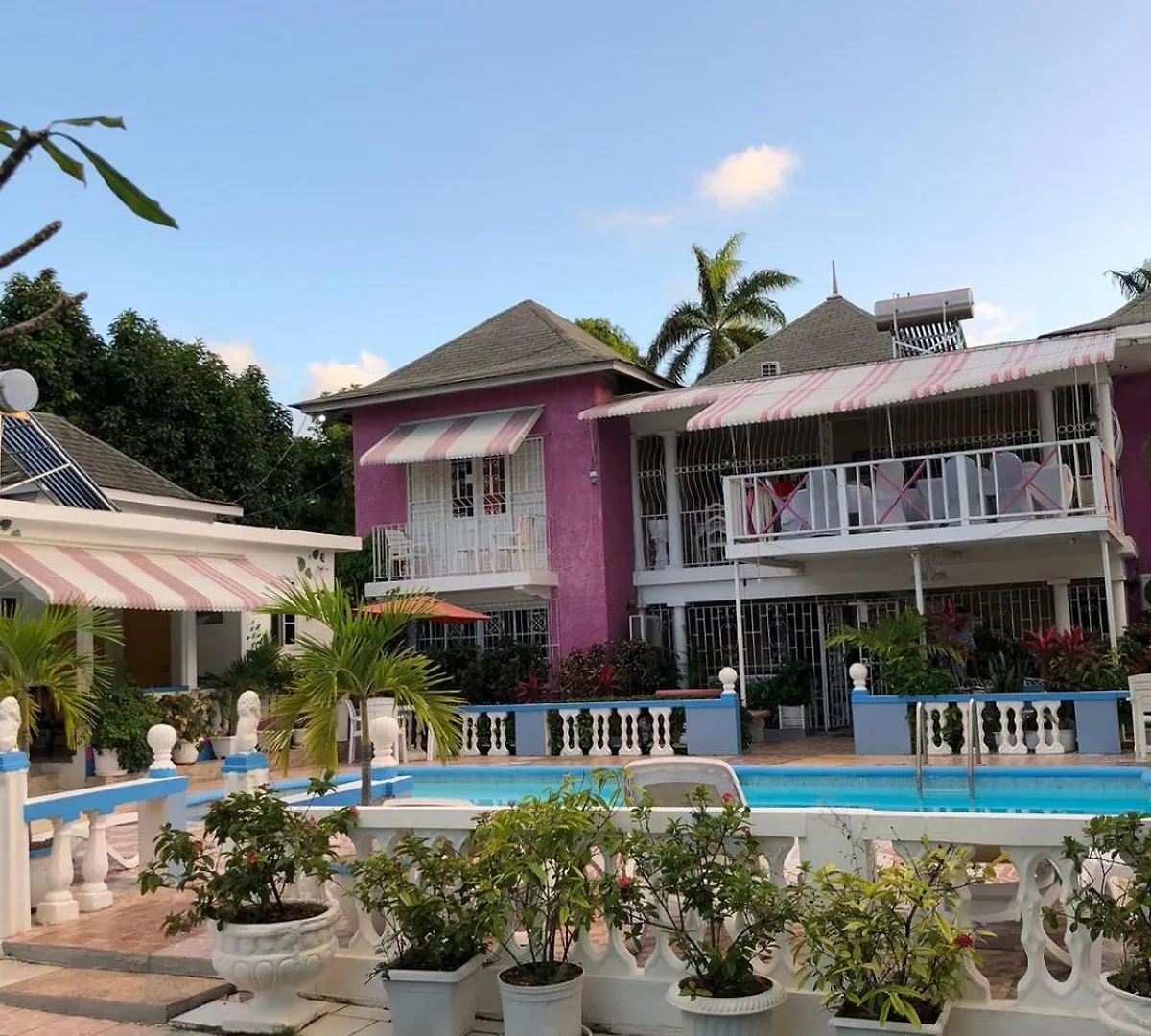 Guest house 237 Bratton Avenue Hotel Montego Bay