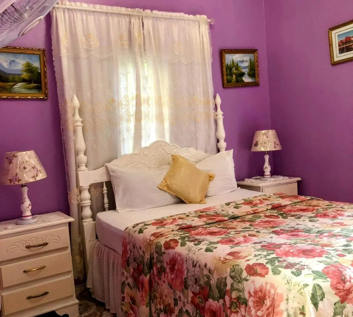 Guest house 237 Bratton Avenue Hotel Montego Bay