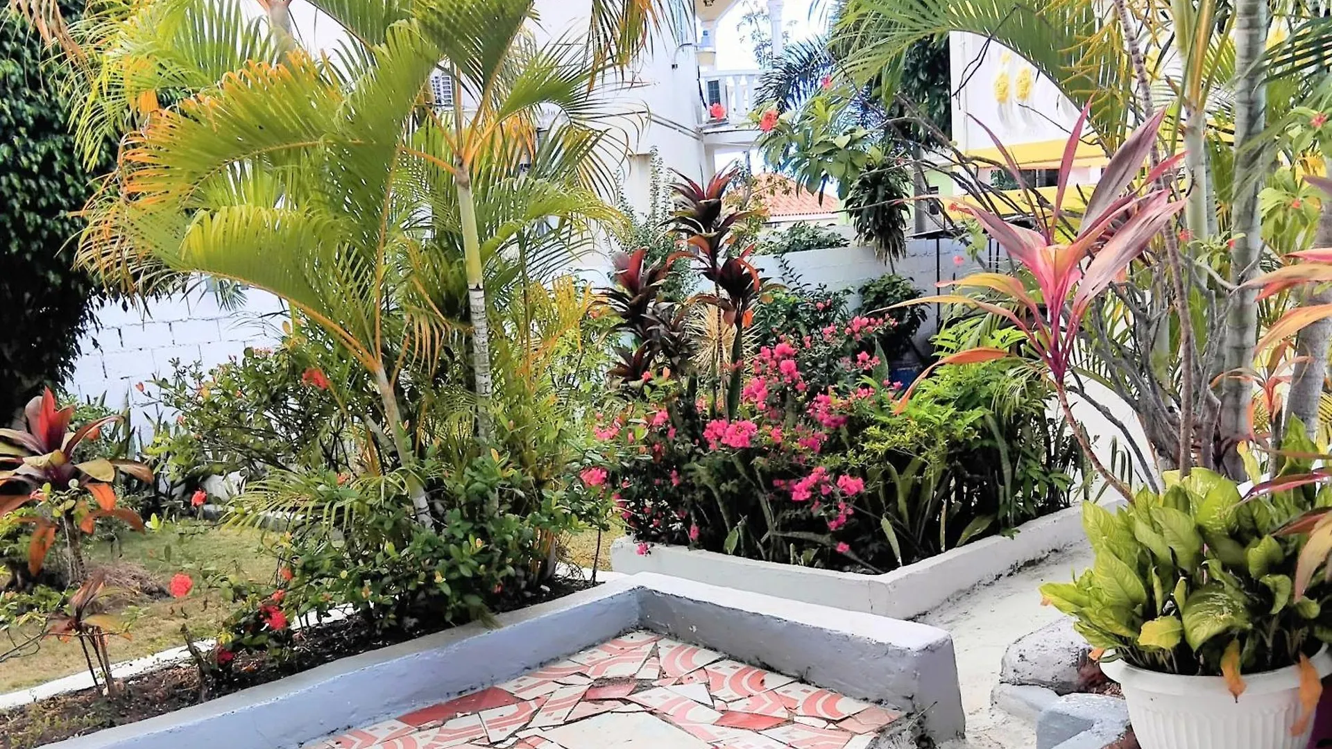 237 Bratton Avenue Hotel Montego Bay Guest house